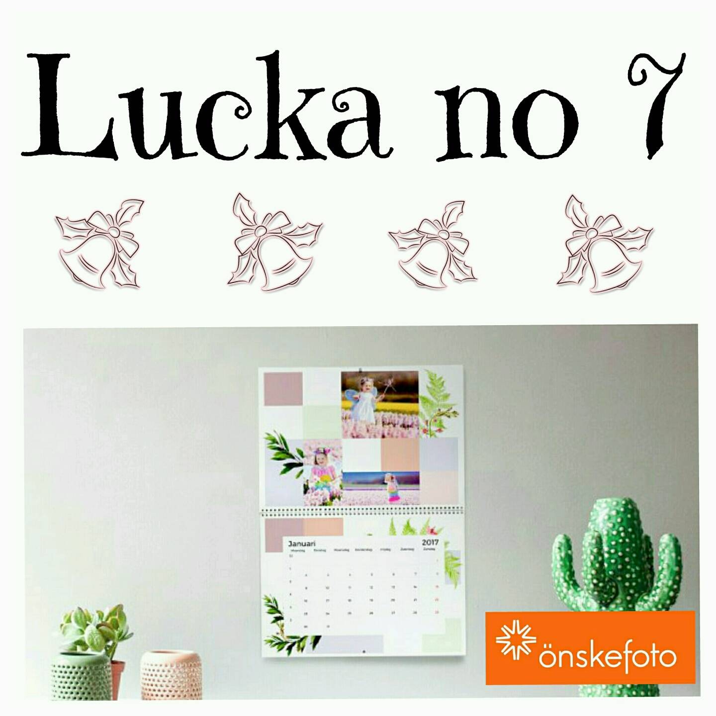 Lucka 7